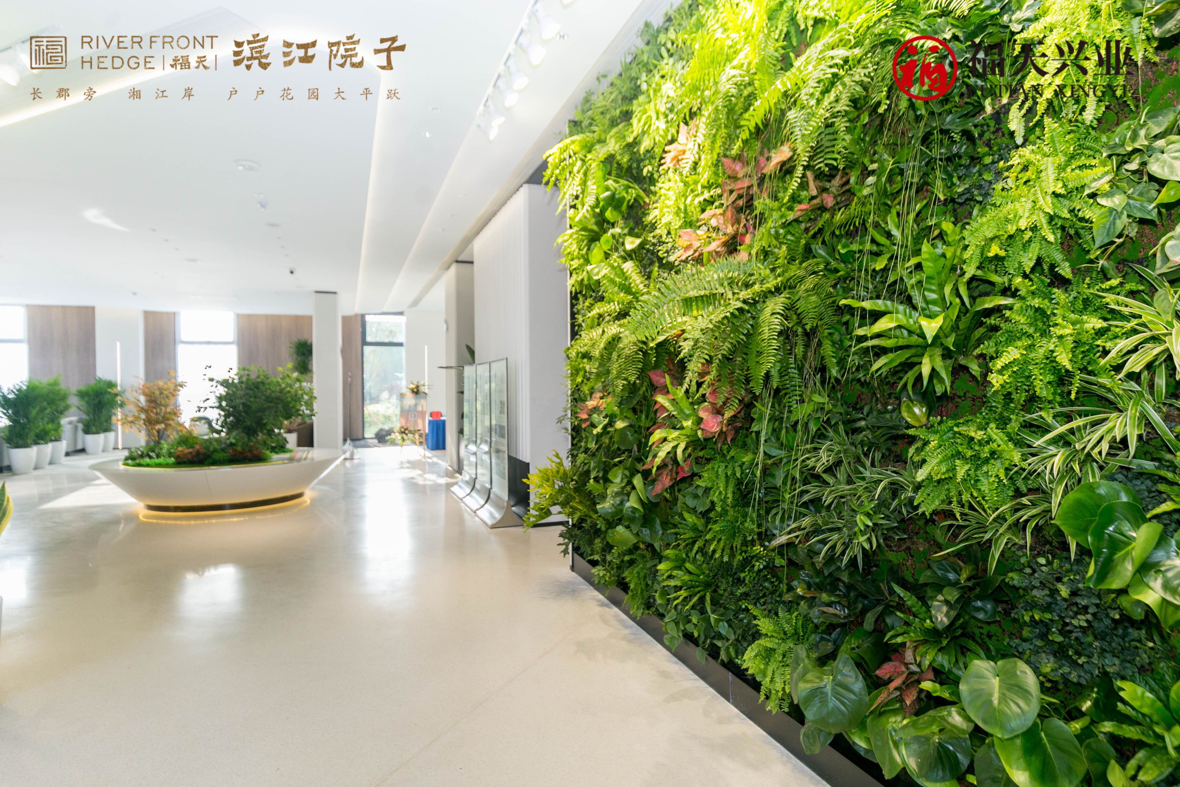 立体生态创新建筑启幕湘江，福天·滨江院子营销中心盛大开放