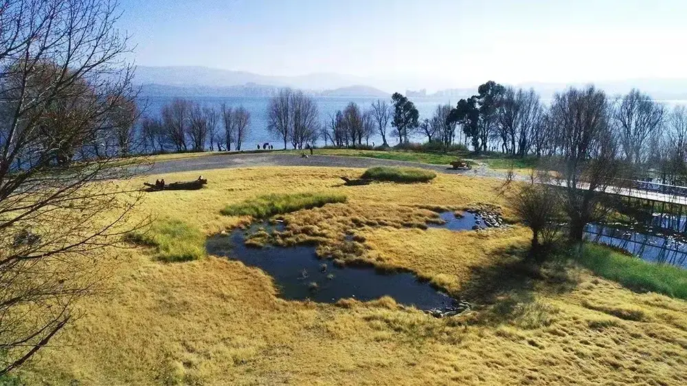 大理洱海生态廊道荣获2021年la风景园林奖生态贡献奖