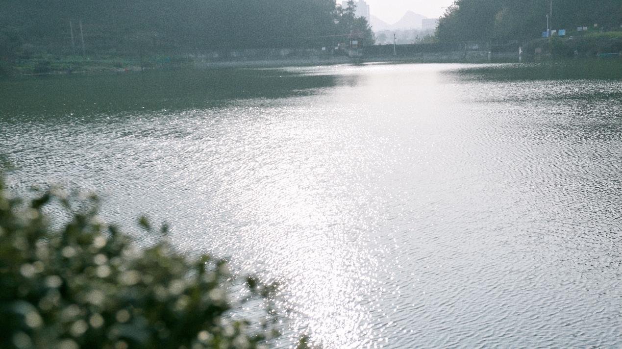 万科·观湖丨一湖两环六境匠心布局，启幕理想湖居生活