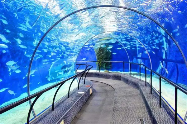 邢台旅游新地标邢台海洋馆项目举行首场媒体见面会