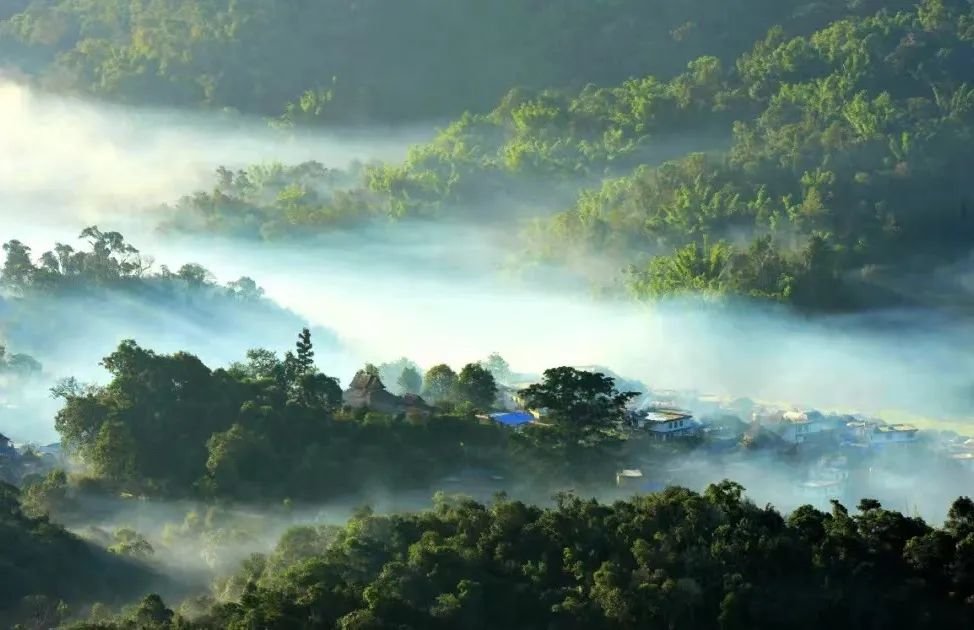 版纳上品丨向往的生活，在北纬21°的西双版纳