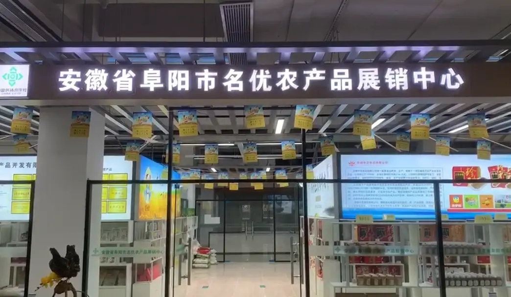 阜阳商城网站建设 房天下