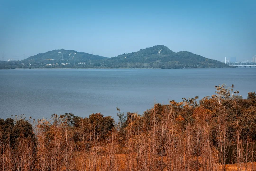240万起享270°一线湖景，才是武汉当下值得买的别墅