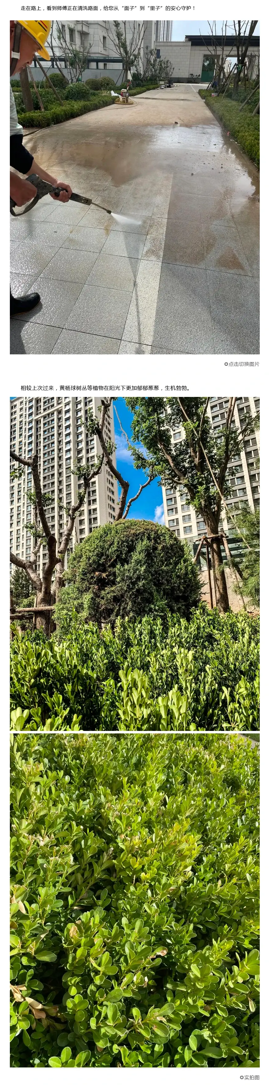 民生陶清河泮丨泮泮带您逛工地