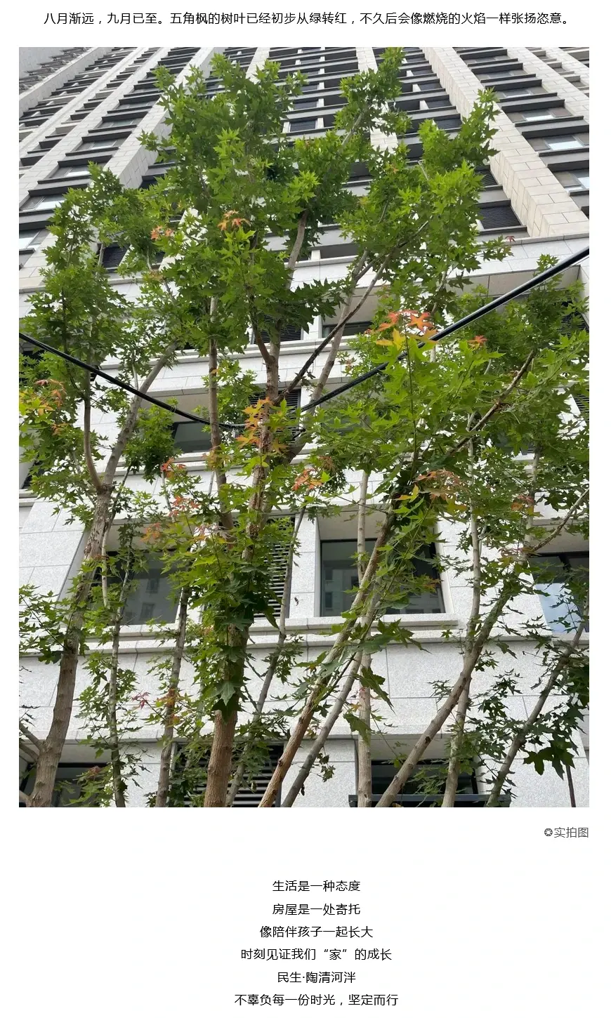 民生陶清河泮丨泮泮带您逛工地