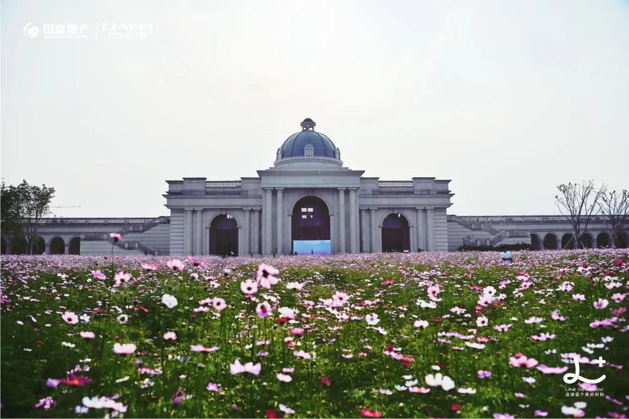 约6万方的格桑花海免费开放 自在莲花湖成打卡胜地