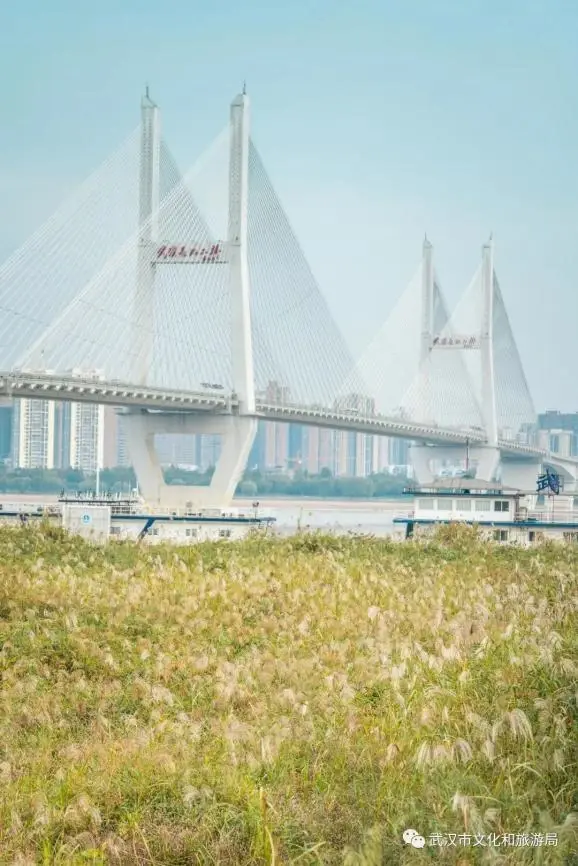 二七滨江抄底机会来了！央企天字系产品 配建重点中学，总价520万起