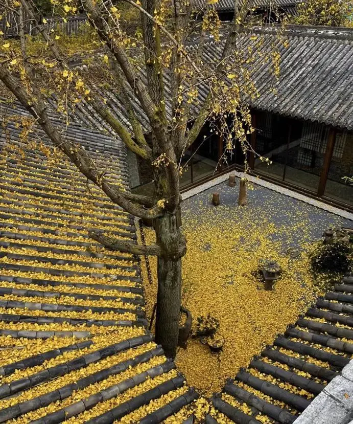 顶豪见中式 | 中国六大中式建筑风格，豪宅最常用的是这种，多图预警