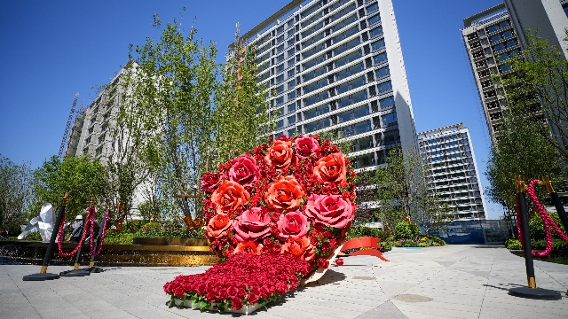 用炽热致所爱，巨型玫瑰告白城市，中海·九樾S+城市层峰美学实景园林示范区夺目盛启