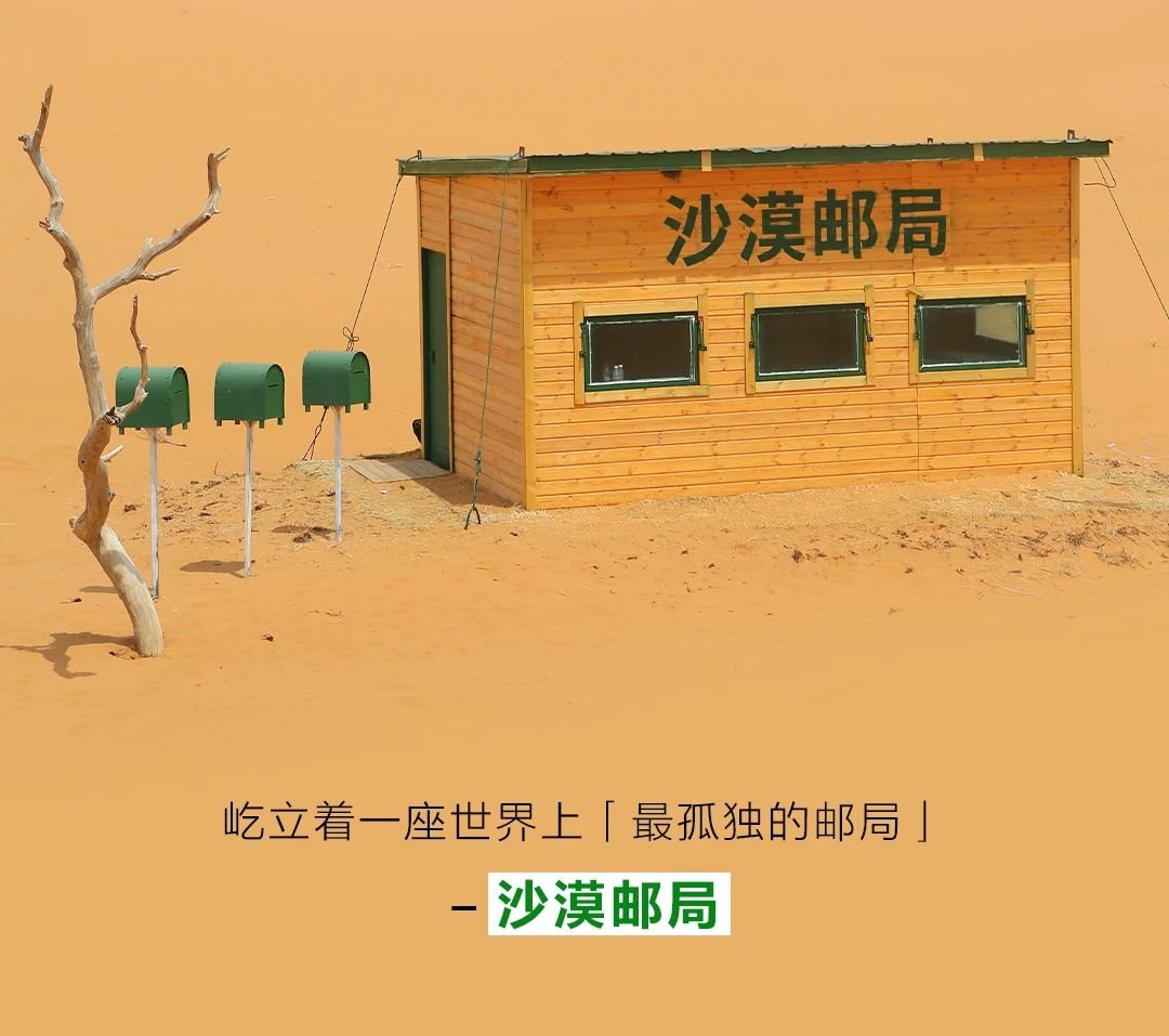 《一个为沙漠“添绿”的故事》正片温暖上线