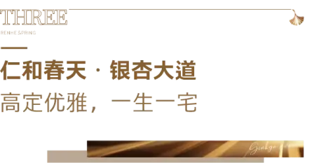 仁和春天·银杏大道，城市双展厅，4月3日正式开放