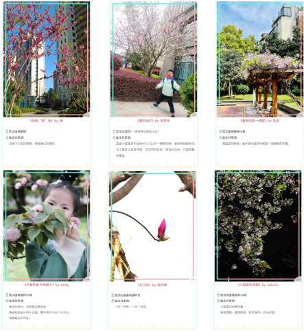 乐享家 金地华中“颜值派的春日影像诗”系列获奖名单发布
