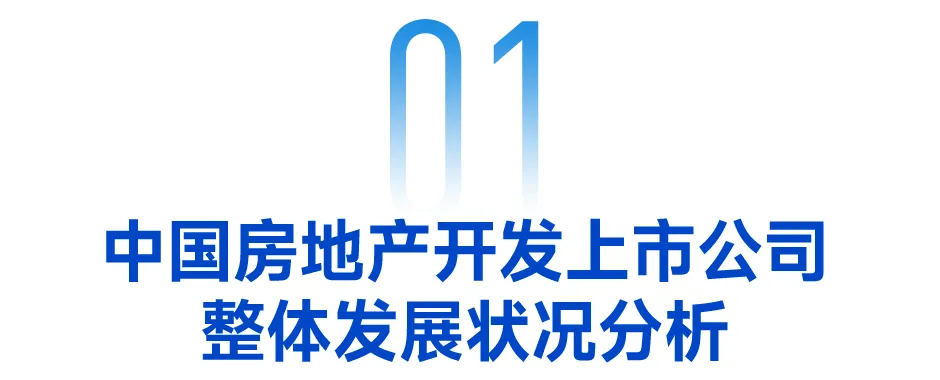 2024中国房地产上市公司TOP10研究报告