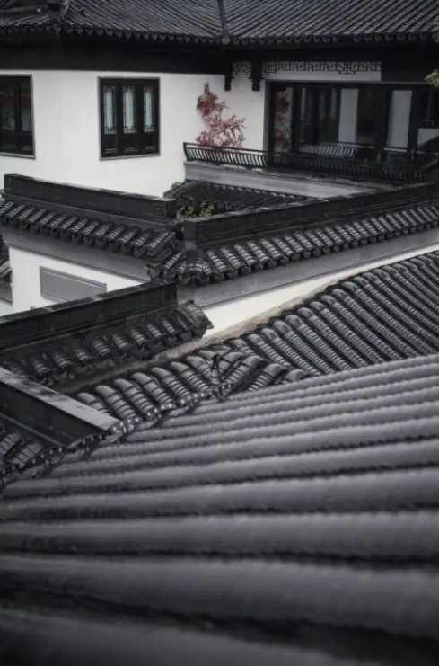 拙政合院 | 院子里的建筑之美——墙瓦·白墙黛瓦