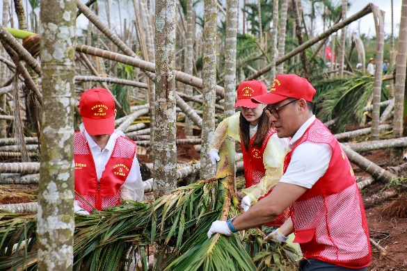 践行央企使命责任 护航人民美好生活——华润置地海南公司紧急组织救灾力量迅速开展抢险救灾工作