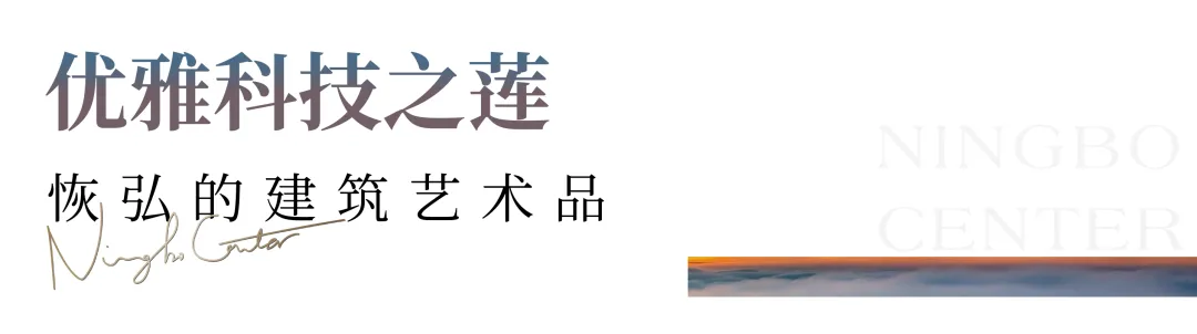NBC宁波｜科技之莲实景绽放 热领长假