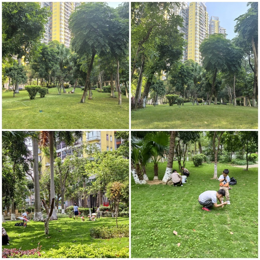 万科物业以常住常新的 “时光魔法”，点亮老旧小区新生活