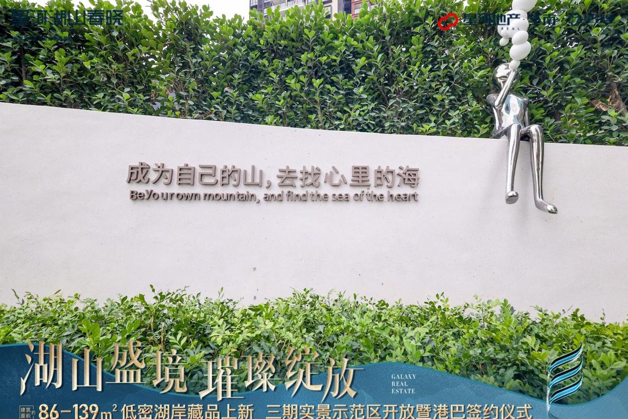 销冠再登峰丨湖山新品示范区开放暨港巴直通签约