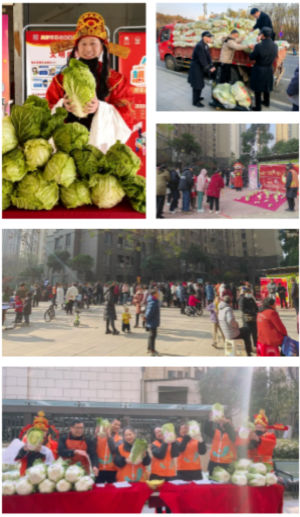 金地在冬至，玩出“心”花样