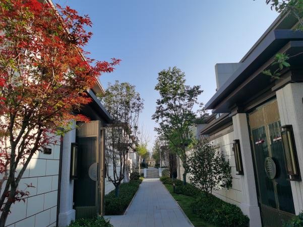 不负期待 | 仁安・南山院子一期兑现品质交付，升级新品实景来袭
