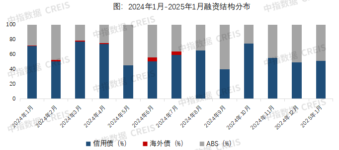 2024年1月-2025年1月融资结构分布