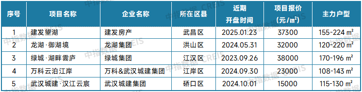 表：武汉新房典型项目