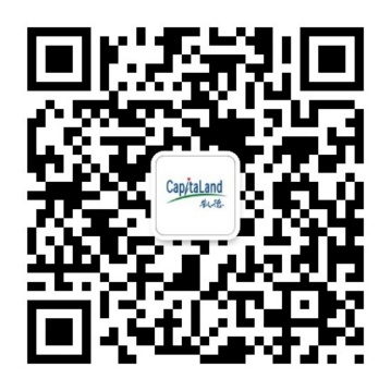 凯德集团发布首期300万新元“社区韧性资助计划”