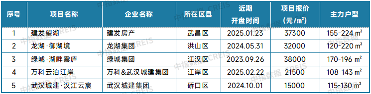 表：武汉新房典型项目