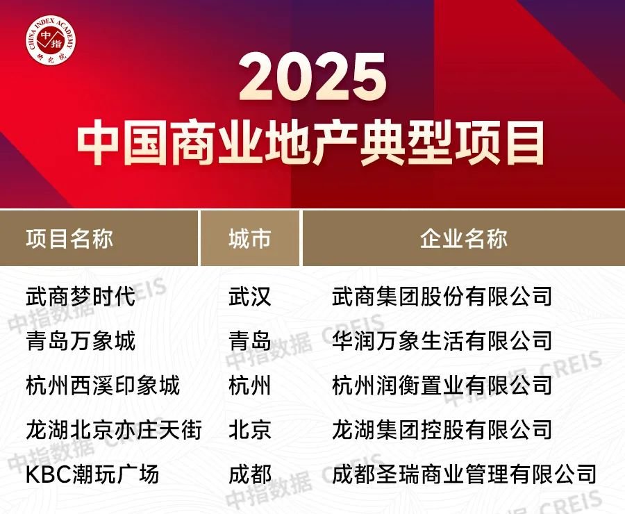 2025中国商业地产典型项目