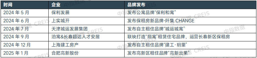 表：2024年以来我国租住品牌建设重点事件