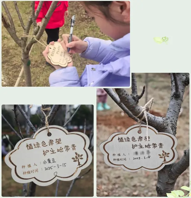来年春天，这里将樱花烂漫！