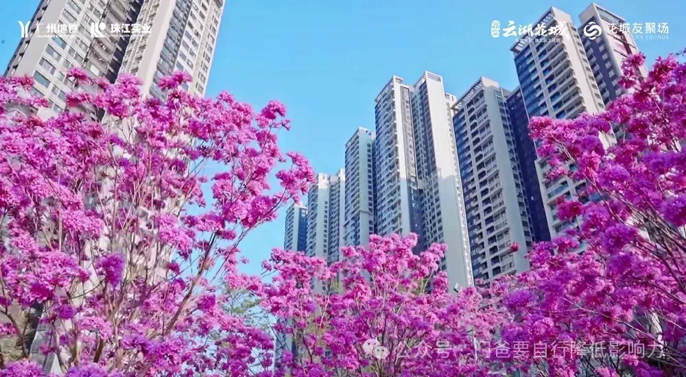 保送清北，这所学校为何如此优秀？