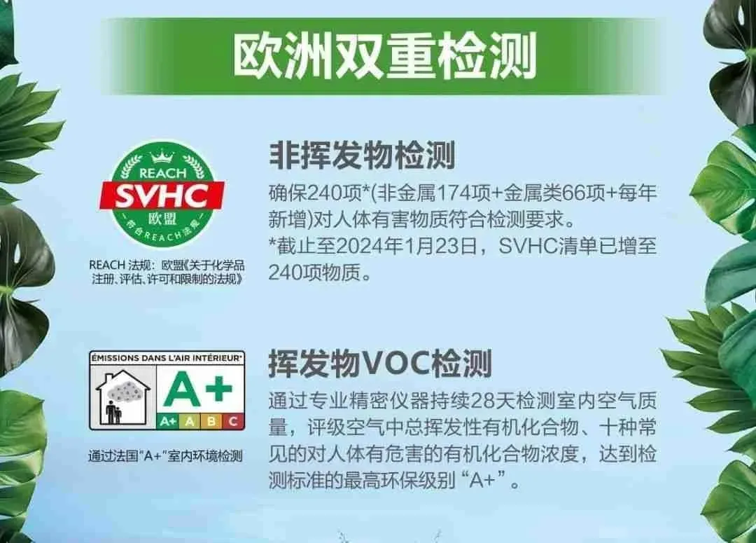 修炼1000+天,德高水漆出道啦