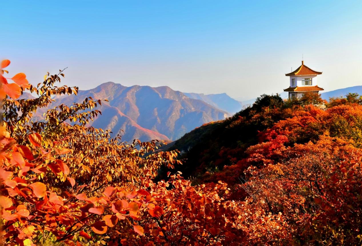 印香山|城市中心的半山，历来天生珍品