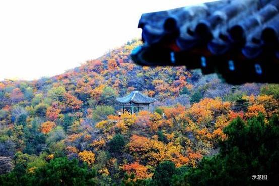 印香山 | 香山半山的主人，历来层峰人物