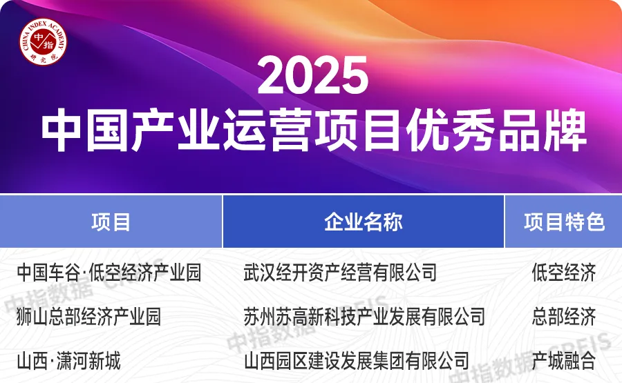 2025中国房地产品牌价值研究报告