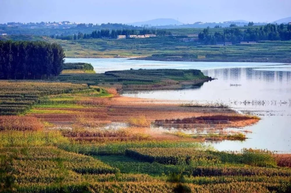 兰陵会宝湖湿地公园