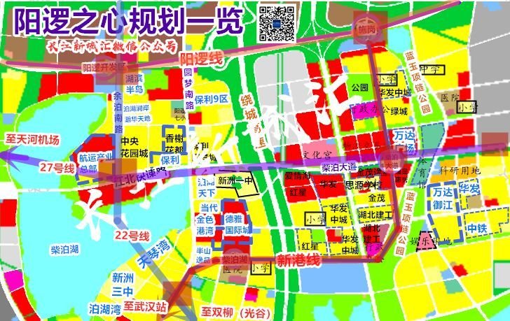 目前来看新港线阳逻段将采用地下模式建设.