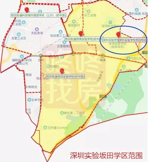 学位紧张的坂田,深圳实验的学位风波.