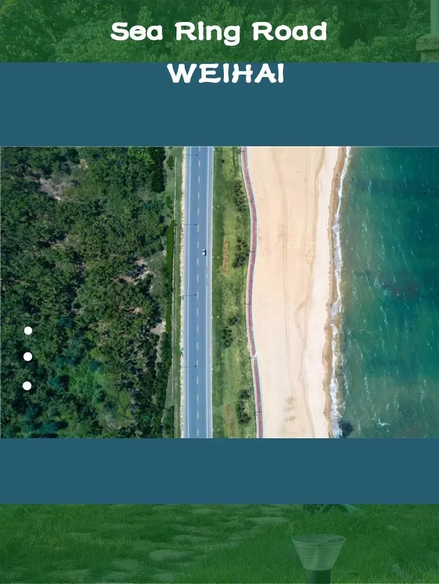 海宴台二期 | 在离尘不离市的从容中，收藏山海，收获价值！
