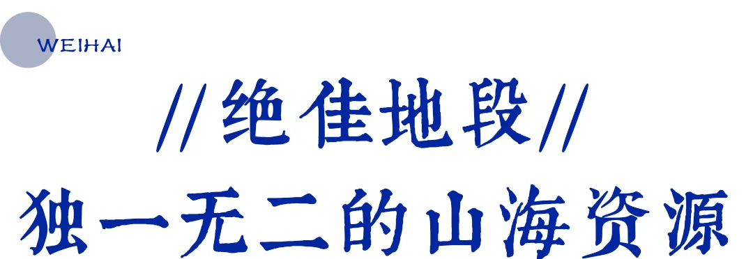 海宴台二期 | 在离尘不离市的从容中，收藏山海，收获价值！