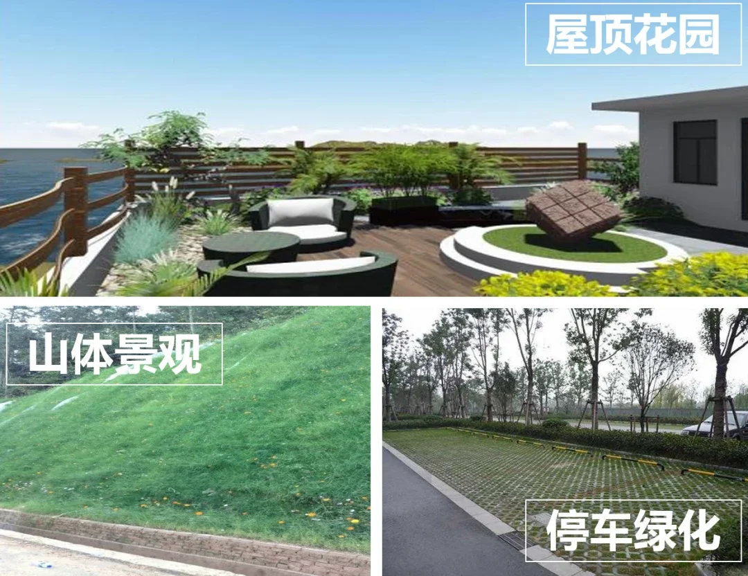 海宴台二期 | 在离尘不离市的从容中，收藏山海，收获价值！