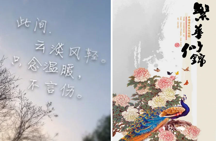 海宴台二期 | 在离尘不离市的从容中，收藏山海，收获价值！