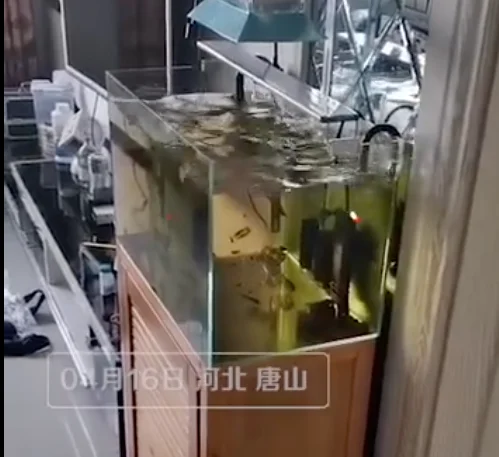 房价