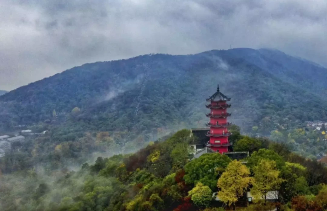 惠山国家森林公园航拍图图源:网路