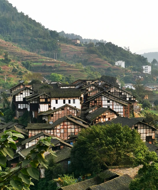 合江玉兰山景区