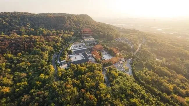 大学城公园,天印湖鹭鸟保护区环绕,这样的城市山居环境在南京城内不可