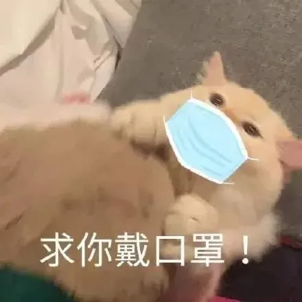 房价