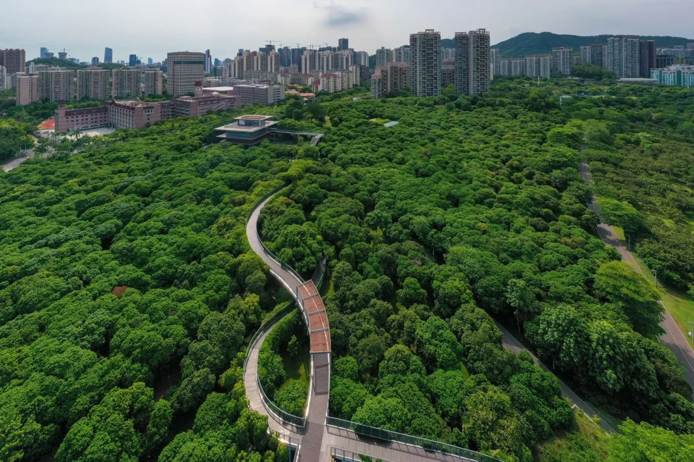 数字深圳|1200多个公园,装进深圳人口袋里-房产资讯-房天下