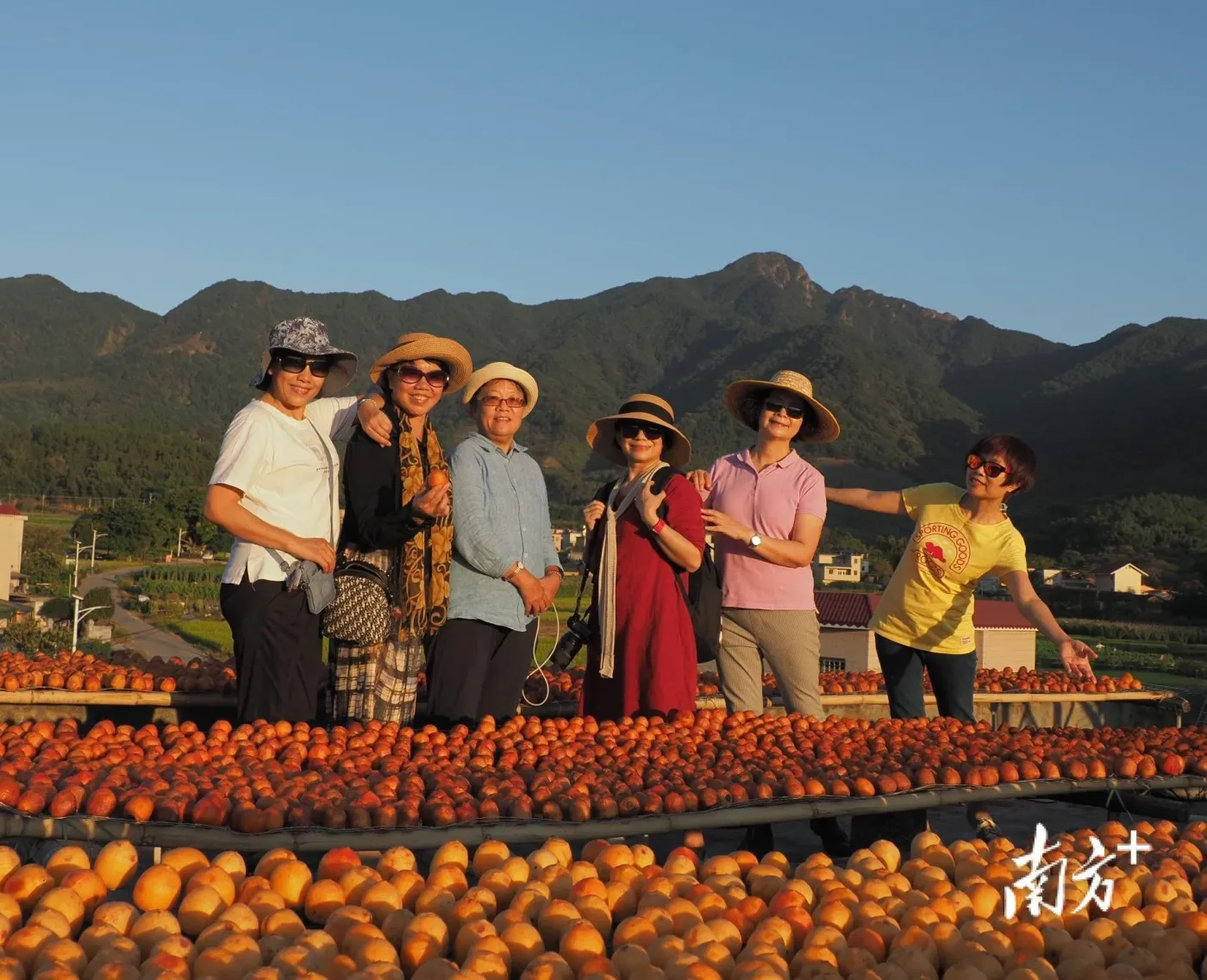 “柿柿”如意！走进广州从化的“柿”外桃源，欣赏“丰”景如画-房产资讯-房天下